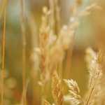 #ad 苦しみは なんか知らんけど満たしてくれる だから仲間なんだ と気付けば 脳が乗ってくる   動画編